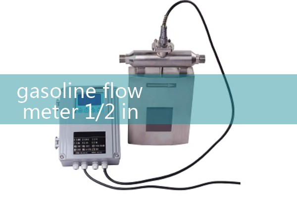 gasoline flow meter 1/2 inch